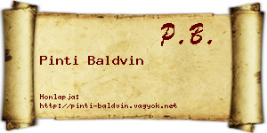 Pinti Baldvin névjegykártya